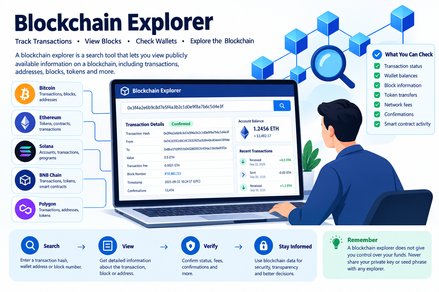Blockchain Explorer infographic showing how to track cryptocurrency transactions, view wallet balances, check blocks, verify confirmations, and explore blockchain network data.